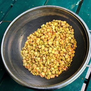 ファラフェル_2