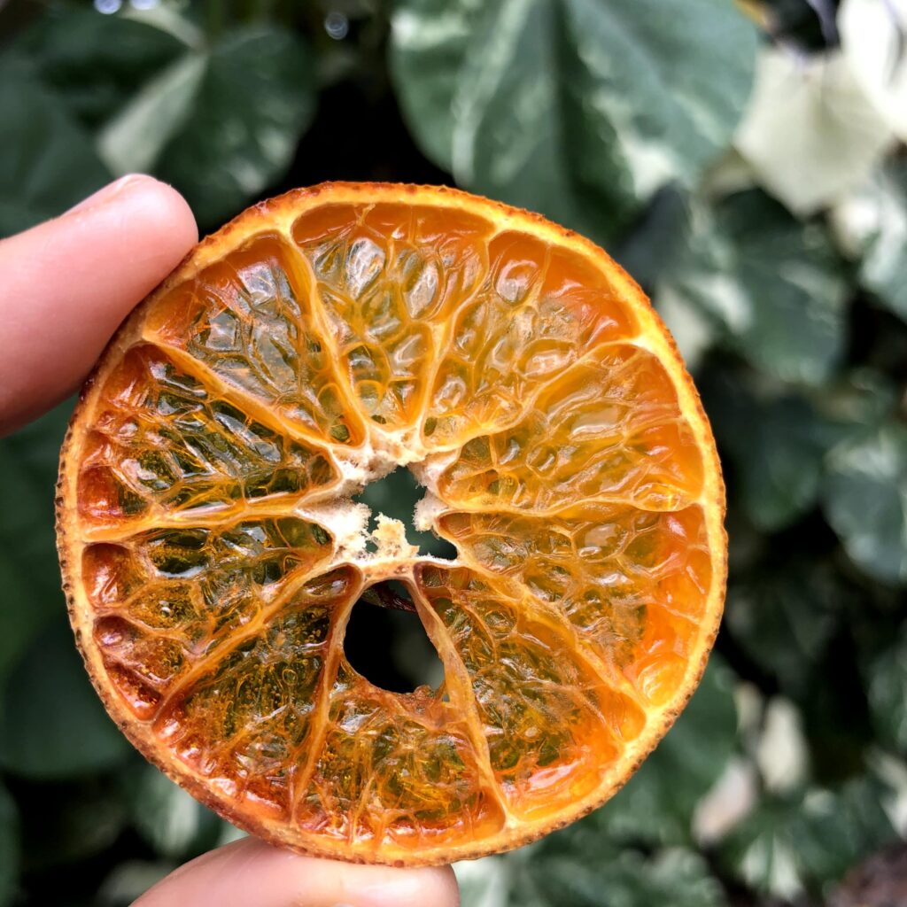 ドライオレンジの作り方