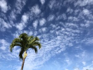 怒りのコントロール方法