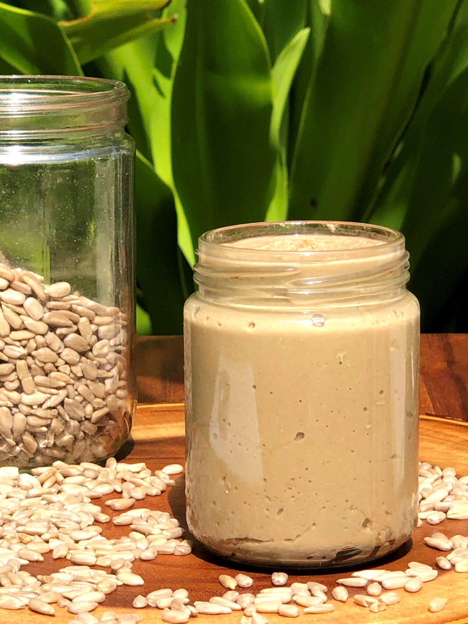 サンフラワーシードバター（ひまわりの種バター）の作り方 Healthy Habits Hawaii